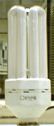 Lampada 46W.jpg (32653 bytes)